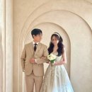 아벨헤어 이미지