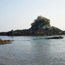 효자도6 이미지