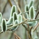 삼천포대교로 이미지