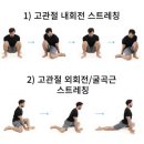 운동백서PT 이미지