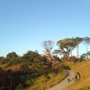 미래플레이스 이미지