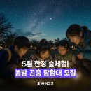 풍암농장 | 숲파티포레 5월 밤숲체험 '봄밤 곤충 탐험대' 후기 | 부산시민공원, 한밭수목원, 풍암생활체육공원 외