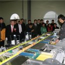 영춘양계 이미지