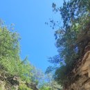 육백산 사슴농장 이미지