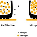 타이어 프라자 이미지