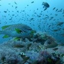 힐포인트 이미지