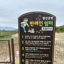 황산애견