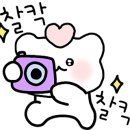 카페우드진송도 이미지