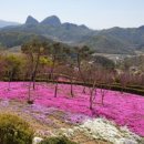 동산구이식당 이미지