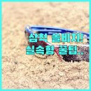 쏠비치 호텔 삼척 | 쏠비치 삼척부터 실속 호텔까지 투숙객 후기로 본 강원도 숙소 추천