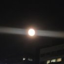 블루문 노래연습장 이미지