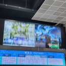 파주 임진각 평화 곤돌라 / 동마기업 평화랜드 방문 후기