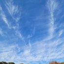 좋은아침(성화점) | 장성 푸른솔cc 늦가을 라운딩 후기