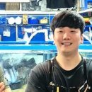 가락태권도 네이버블로그