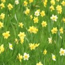 풀빛동산 이미지