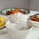 맛있는 쌀 추천 천지향 땅끝황토친환경 유기농 햅쌀 후기!