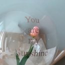 진심담다 이미지