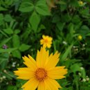 부용발전소 이미지