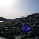 완도 정도리 구계등 이미지