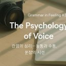 영어의 메커니즘 07 | 관점의 심리 — 능동과 수동, 문장의 시선 이미지