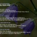 레드벨플라워 이미지