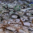 아름다운 안경.콘택트 이미지