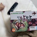 범안농장 | [캠핑로그]구룡포 사계오토캠핑 A-8사이트 2박3일 후기
