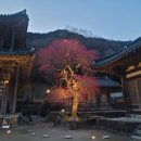 구례농협하나로마트 이미지