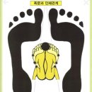 수원-1770 이미지