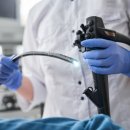 도곡치유동물병원 이미지