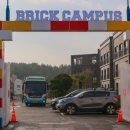 비체올린 이미지