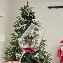 막심이네-수입 이미지