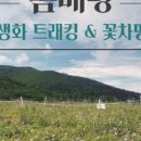 마음챙김여행백락투어 이미지