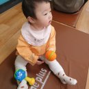 (주)풀잎소리 이미지