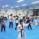 용인대 SK 태권도 이미지