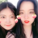 영포차