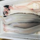 바다그리다 이미지