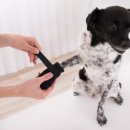 연수동물메디컬센터 이미지