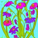 강원과학고등학교 이미지