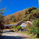 초리연 | [초리연]#솔직후기#파주 식당 #율곡선생 유적지 근처 식당