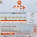 서호공원 이미지