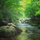 단양펜션민박 | 단양군 숙소 인기 애견동반 여행지 비교 TOP 10 후기 많은