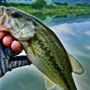 왕숙천 자전거도로12 이미지