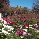 오일시장(축협하나로마트) 이미지