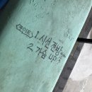 씨맨서프하우스 | 씨맨서프 서핑배우기 서프엔조이 양양셔틀 비치바베큐
