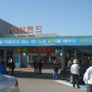 금산인삼랜드(대전) 이미지