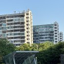 [강원도여행]오지중의 오지 화천 비수구미 마을 트레킹하고 양구수목원 다녀온 후기