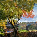 용산1리 이미지