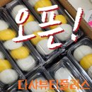 다샤뷰티플러스