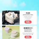피크닉댕댕 네이버블로그